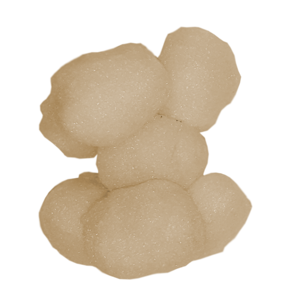 FilterBalls Sanz - (Single Pack) - Two Bag Min. (no filter housings require only one bag)